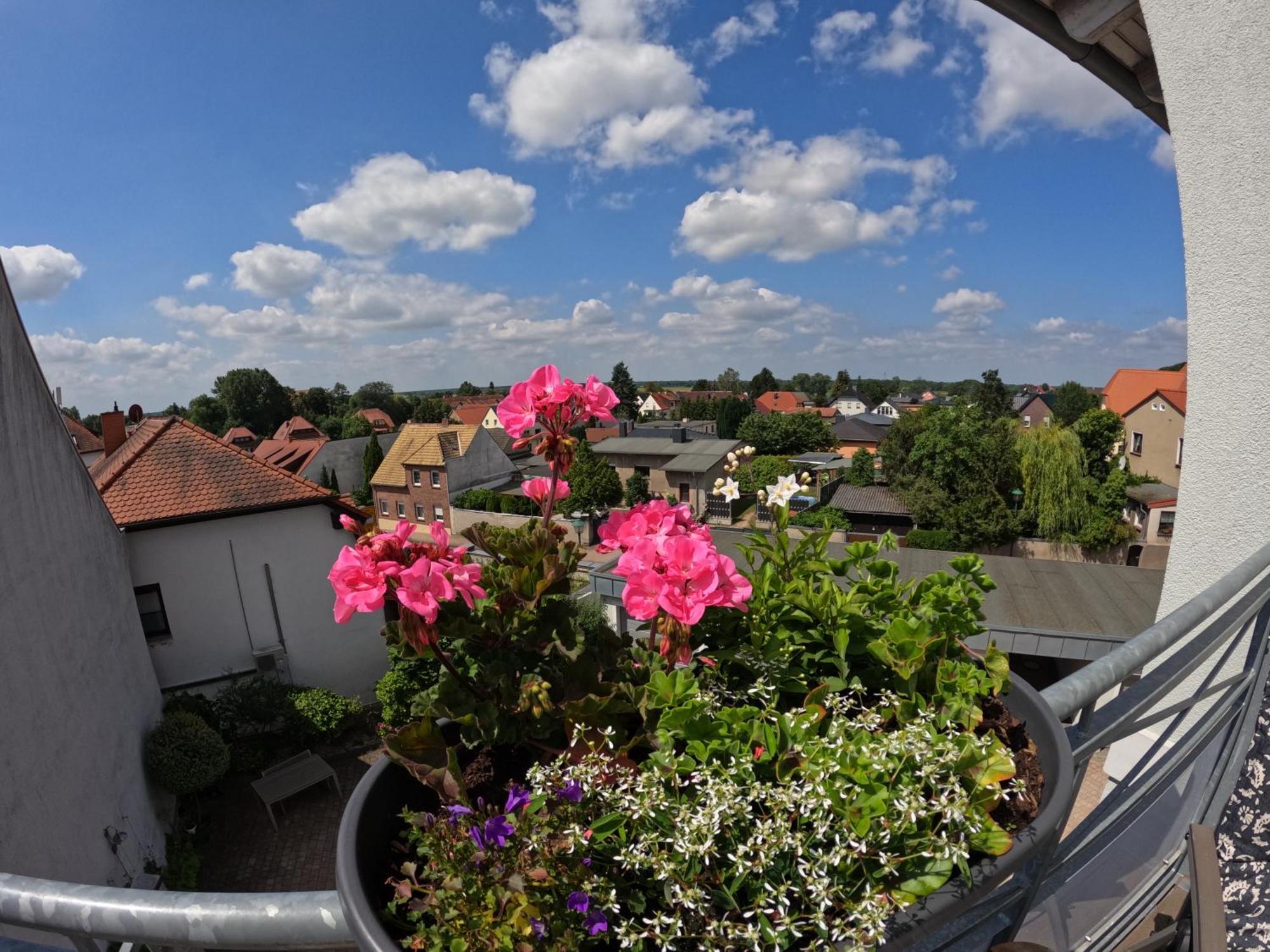 Ferienwohnung Ausblick Bad Düben Buitenkant foto